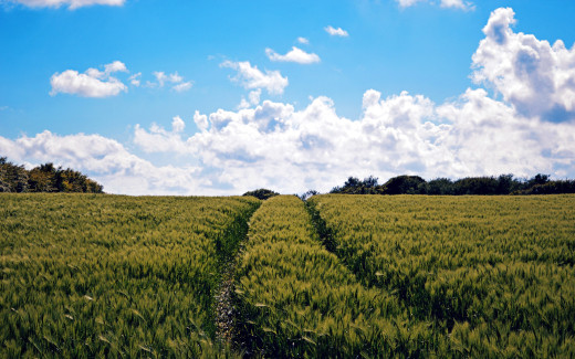 1347434 (a): :2560x1600